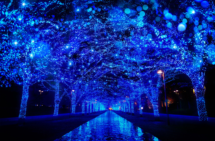Christmas Illuminations Light up Japan – Destination Asia News